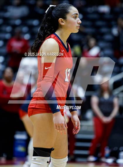 Thumbnail 2 in Pearland Dawson vs. Northwest Nelson (UIL 6A D1 Volleyball Final) photogallery.