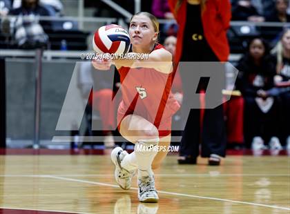 Thumbnail 1 in Pearland Dawson vs. Northwest Nelson (UIL 6A D1 Volleyball Final) photogallery.