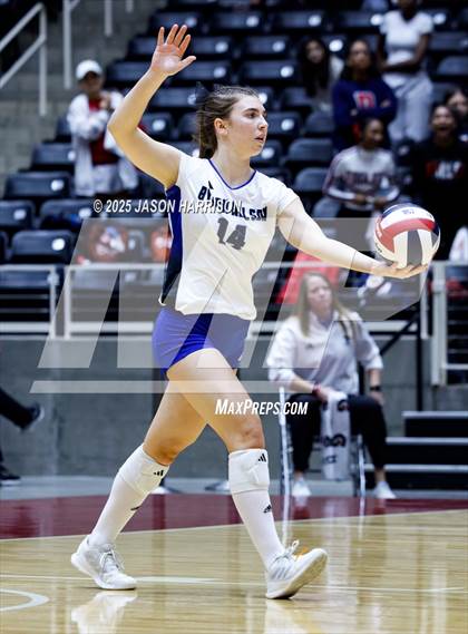 Thumbnail 3 in Pearland Dawson vs. Northwest Nelson (UIL 6A D1 Volleyball Final) photogallery.