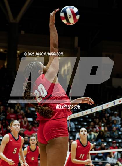 Thumbnail 3 in Pearland Dawson vs. Northwest Nelson (UIL 6A D1 Volleyball Final) photogallery.