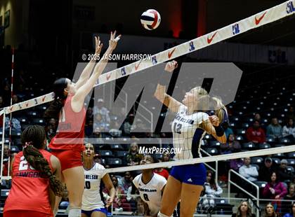 Thumbnail 3 in Pearland Dawson vs. Northwest Nelson (UIL Volleyball 6A D1 Final) photogallery.
