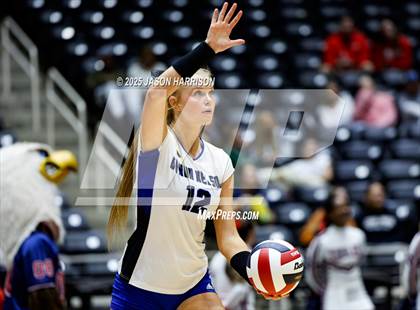 Thumbnail 1 in Pearland Dawson vs. Northwest Nelson (UIL 6A D1 Volleyball Final) photogallery.