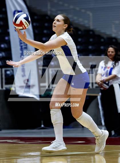 Thumbnail 3 in Pearland Dawson vs. Northwest Nelson (UIL 6A D1 Volleyball Final) photogallery.