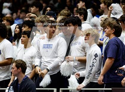Thumbnail 3 in Pearland Dawson vs. Northwest Nelson (UIL 6A D1 Volleyball Final) photogallery.