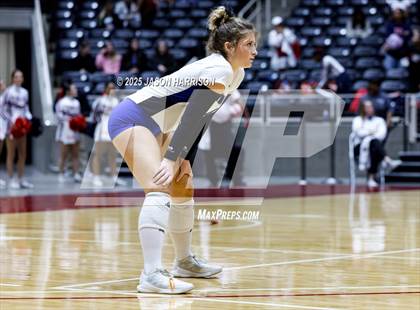 Thumbnail 3 in Pearland Dawson vs. Northwest Nelson (UIL 6A D1 Volleyball Final) photogallery.