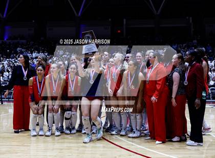 Thumbnail 3 in Pearland Dawson vs. Northwest Nelson (UIL 6A D1 Volleyball Final) photogallery.