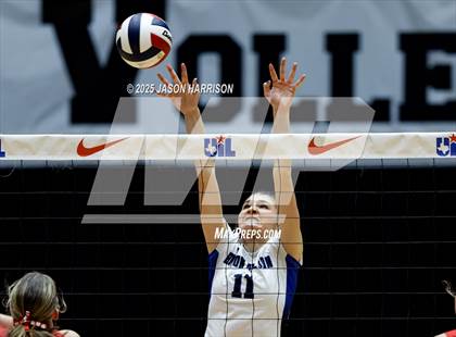 Thumbnail 3 in Pearland Dawson vs. Northwest Nelson (UIL Volleyball 6A D1 Final) photogallery.