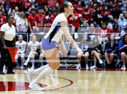 Thumbnail 2 in Pearland Dawson vs. Northwest Nelson (UIL 6A D1 Volleyball Final) photogallery.