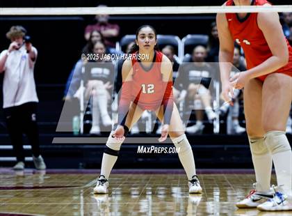 Thumbnail 3 in Pearland Dawson vs. Northwest Nelson (UIL Volleyball 6A D1 Final) photogallery.