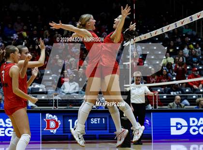 Thumbnail 2 in Pearland Dawson vs. Northwest Nelson (UIL Volleyball 6A D1 Final) photogallery.