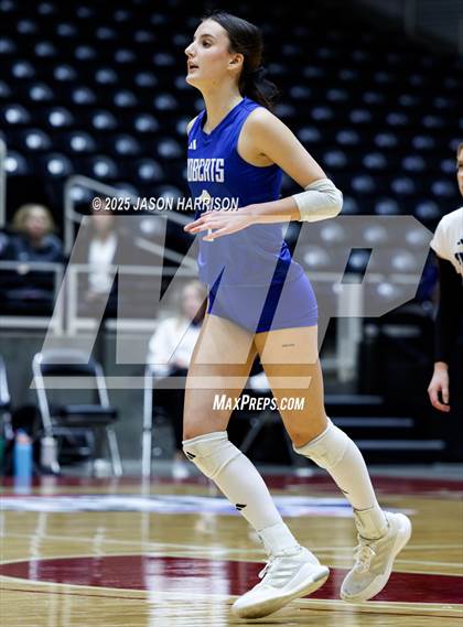 Thumbnail 3 in Pearland Dawson vs. Northwest Nelson (UIL 6A D1 Volleyball Final) photogallery.