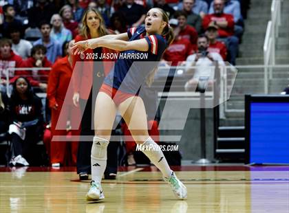 Thumbnail 3 in Pearland Dawson vs. Northwest Nelson (UIL 6A D1 Volleyball Final) photogallery.
