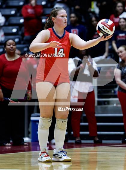 Thumbnail 2 in Pearland Dawson vs. Northwest Nelson (UIL 6A D1 Volleyball Final) photogallery.
