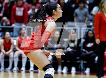 Thumbnail 3 in Pearland Dawson vs. Northwest Nelson (UIL 6A D1 Volleyball Final) photogallery.
