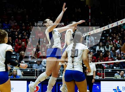 Thumbnail 1 in Pearland Dawson vs. Northwest Nelson (UIL 6A D1 Volleyball Final) photogallery.