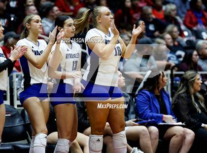 Thumbnail 1 in Pearland Dawson vs. Northwest Nelson (UIL 6A D1 Volleyball Final) photogallery.