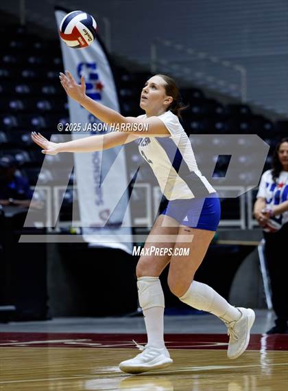 Thumbnail 3 in Pearland Dawson vs. Northwest Nelson (UIL 6A D1 Volleyball Final) photogallery.