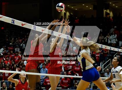 Thumbnail 3 in Pearland Dawson vs. Northwest Nelson (UIL 6A D1 Volleyball Final) photogallery.