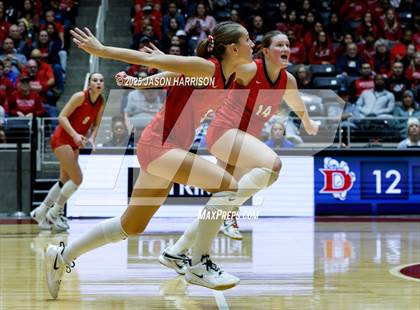 Thumbnail 3 in Pearland Dawson vs. Northwest Nelson (UIL Volleyball 6A D1 Final) photogallery.