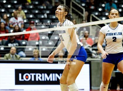 Thumbnail 1 in Pearland Dawson vs. Northwest Nelson (UIL Volleyball 6A D1 Final) photogallery.