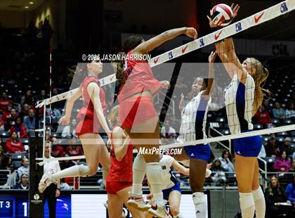Thumbnail 3 in Pearland Dawson vs. Northwest Nelson (UIL Volleyball 6A D1 Final) photogallery.