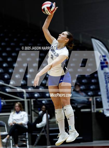 Thumbnail 3 in Pearland Dawson vs. Northwest Nelson (UIL Volleyball 6A D1 Final) photogallery.