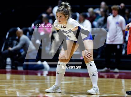 Thumbnail 1 in Pearland Dawson vs. Northwest Nelson (UIL Volleyball 6A D1 Final) photogallery.