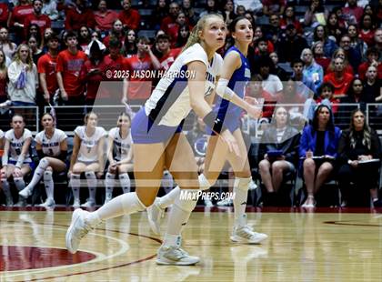 Thumbnail 3 in Pearland Dawson vs. Northwest Nelson (UIL 6A D1 Volleyball Final) photogallery.