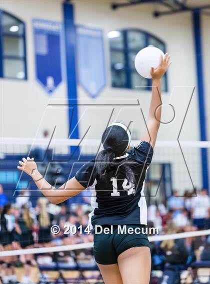 Thumbnail 1 in Woodward vs. Tampa Prep (Berkeley Premier) photogallery.