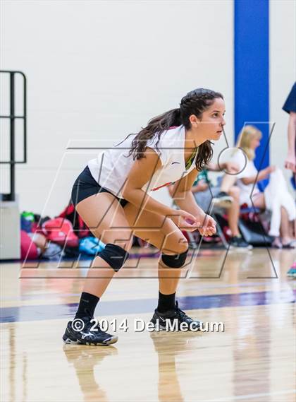 Thumbnail 3 in Woodward vs. Tampa Prep (Berkeley Premier) photogallery.