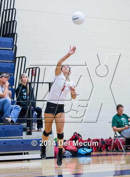 Thumbnail 3 in Woodward vs. Tampa Prep (Berkeley Premier) photogallery.