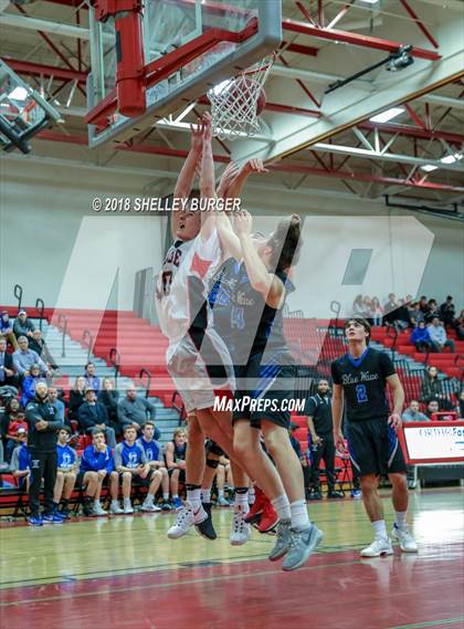 Thumbnail 1 in Darien @ Warde photogallery.