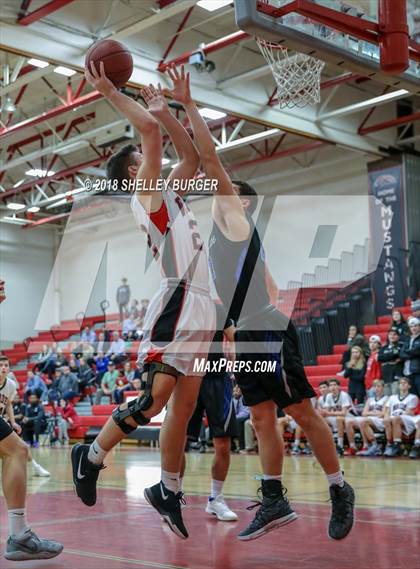 Thumbnail 2 in Darien @ Warde photogallery.