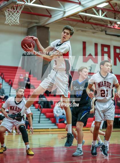 Thumbnail 1 in Darien @ Warde photogallery.