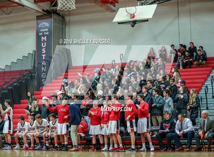 Thumbnail 1 in Darien @ Warde photogallery.