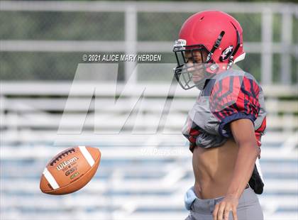 Thumbnail 2 in Weeki Wachee @ Springstead photogallery.