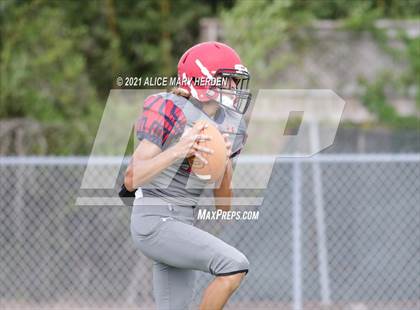 Thumbnail 2 in Weeki Wachee @ Springstead photogallery.