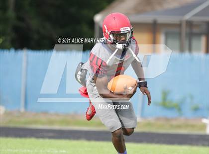 Thumbnail 3 in Weeki Wachee @ Springstead photogallery.