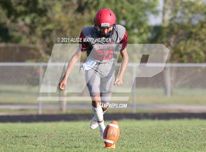 Thumbnail 1 in Weeki Wachee @ Springstead photogallery.