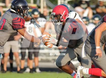 Thumbnail 1 in Weeki Wachee @ Springstead photogallery.