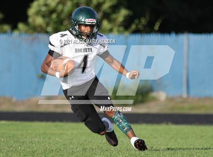 Thumbnail 2 in Weeki Wachee @ Springstead photogallery.