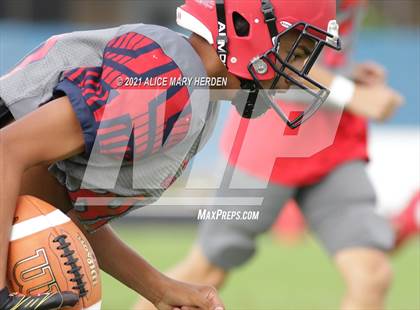Thumbnail 1 in Weeki Wachee @ Springstead photogallery.