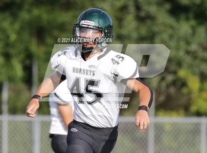Thumbnail 2 in Weeki Wachee @ Springstead photogallery.