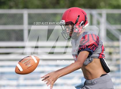 Thumbnail 1 in Weeki Wachee @ Springstead photogallery.