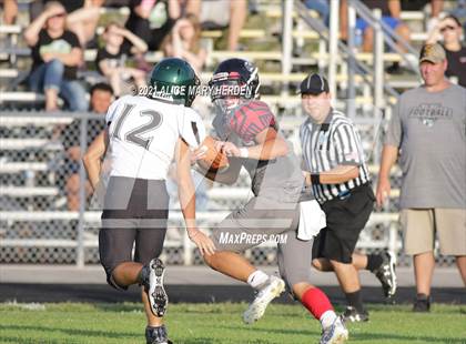 Thumbnail 2 in Weeki Wachee @ Springstead photogallery.