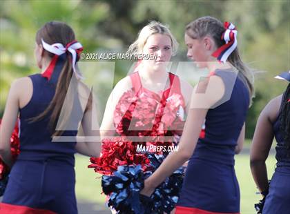 Thumbnail 2 in Weeki Wachee @ Springstead photogallery.