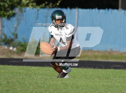 Thumbnail 3 in Weeki Wachee @ Springstead photogallery.
