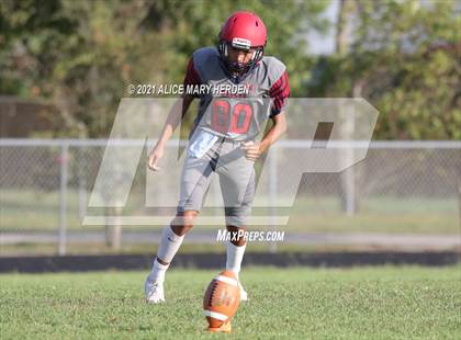 Thumbnail 3 in Weeki Wachee @ Springstead photogallery.