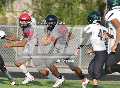 Thumbnail 2 in Weeki Wachee @ Springstead photogallery.