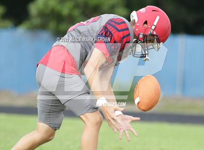 Thumbnail 2 in Weeki Wachee @ Springstead photogallery.